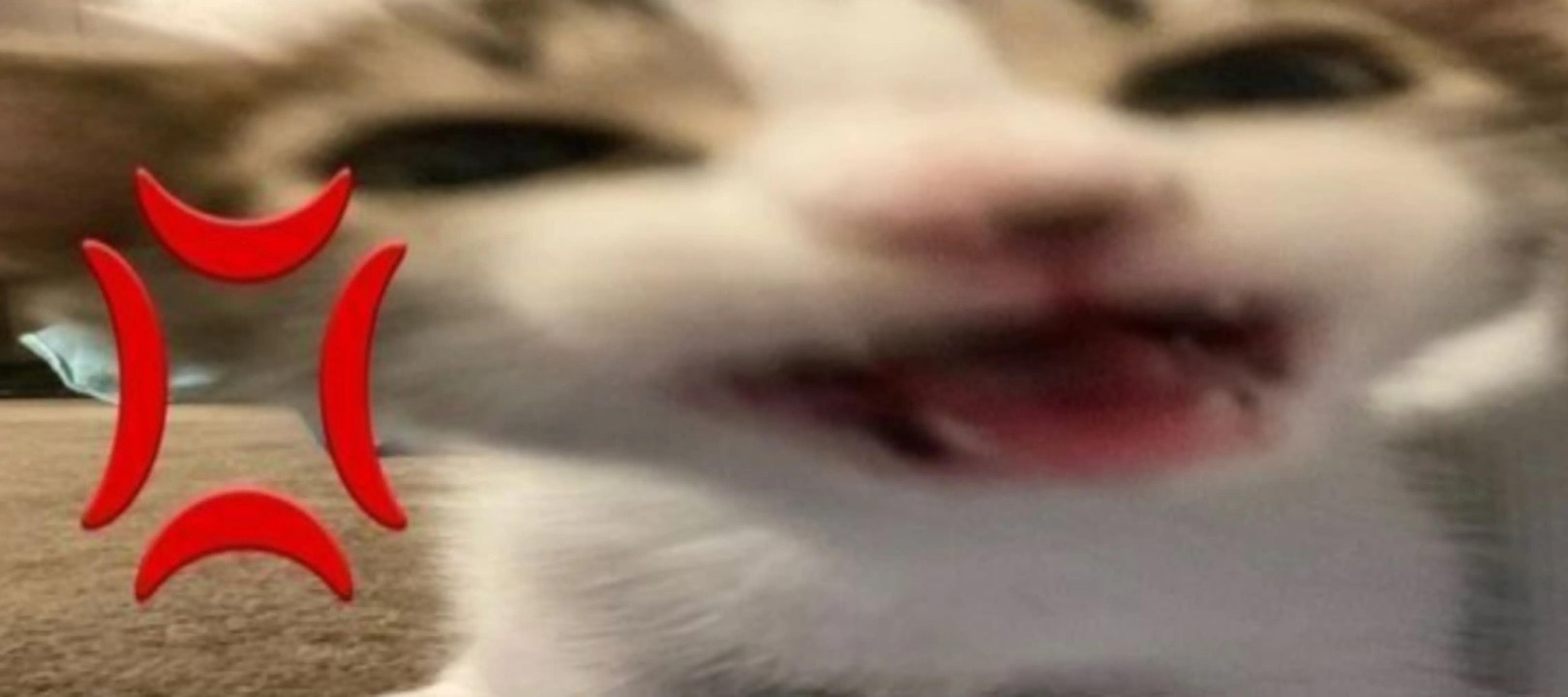 Angry Cat — Tiny Tantrum
